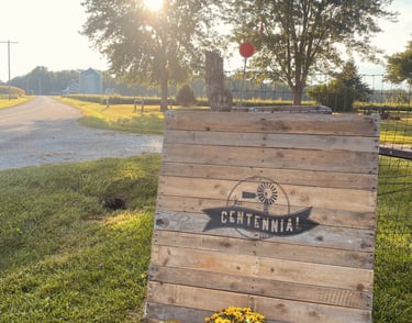 a wooden pallet sign with a pumpkin and mum in the fall