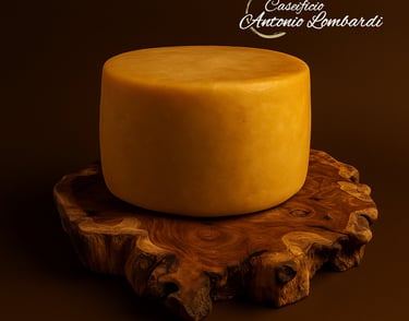 PECORINO PRIMITIVO MANFREDONIA