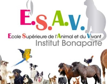 DU ETHIQUE ET CONDITION ANIMALE