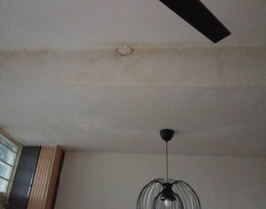 Moldy ceiling downstairs caused by poor waterproofing upstairs