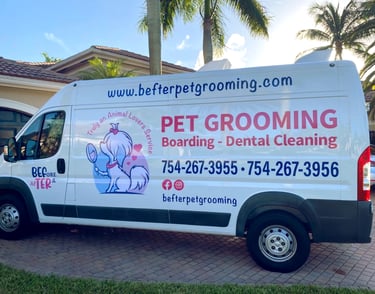 professional pet grooming in the area, best dog groomer, certified groomer, dog groomer near me, van