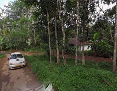 lands for sale in wayanad Dwaraka