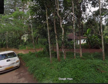 house for sale in wayanad