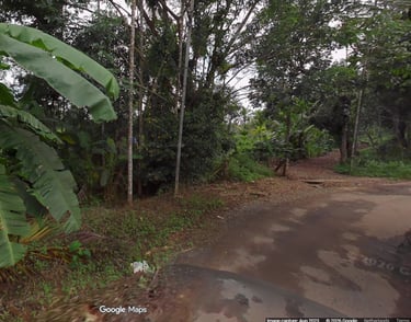 plot for sale in dwaraka wayanad
