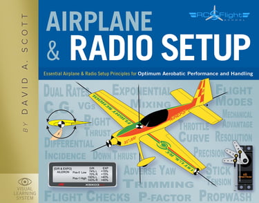 RC airplane and radio transmitter setup
