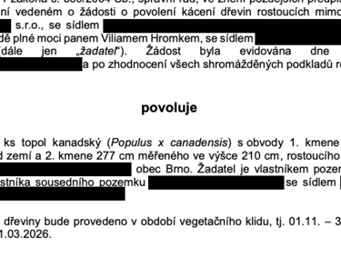 úspěšné povolení ke kácení