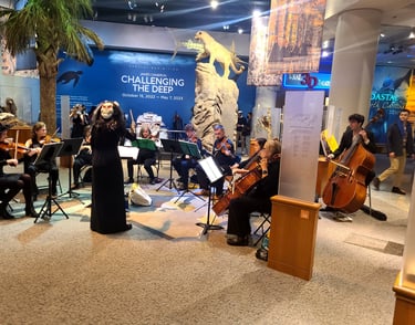 An image of the orchestra performing at a museum.