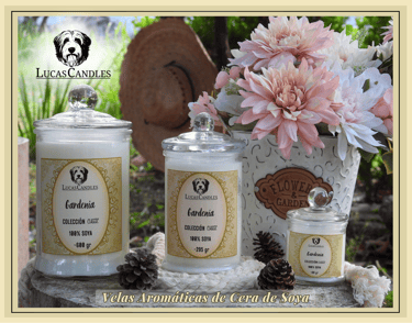 Catálogo Lucas Candles