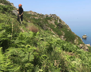 land_culture_services_conservation