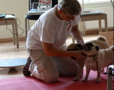 Tierheilpraktiker M.Sikorska mit zwei beigen Mopsen bei Vorführung 