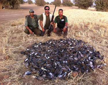 Caza de tórtolas en Marruecos con SERCAZA
