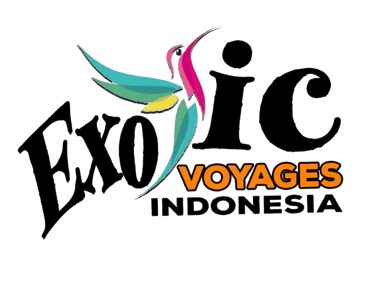 Logo Exotic Voyages Indonesia