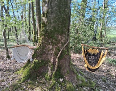 chaises hamacs suspendues pour ascenseurs arboricoles