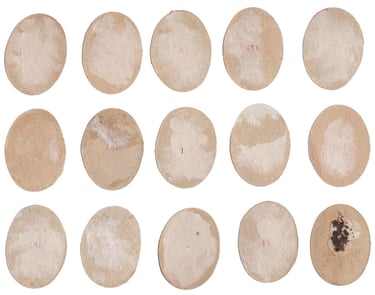 Rare Argentina Fulbito Crack Cromo