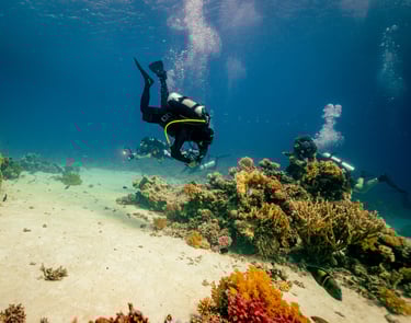 divers exploring a reef in the red sea