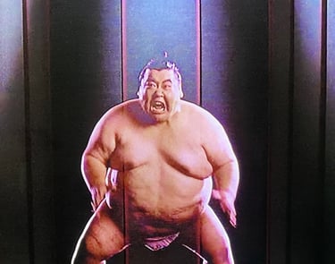 Defending Your Life - Old Lady, Large Sumo