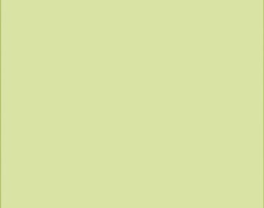 vogelfotografie rondreis gambia maximale soortendiversiteit