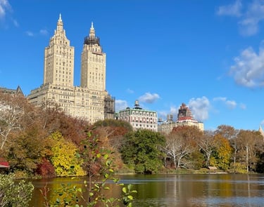 Central Park e edifícios ao fundo