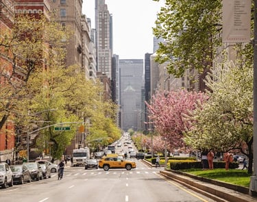 Avenida arborizada com cerejeiras em Nova York