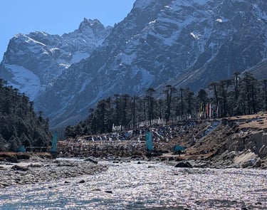 LACHUNG HOMESTAY