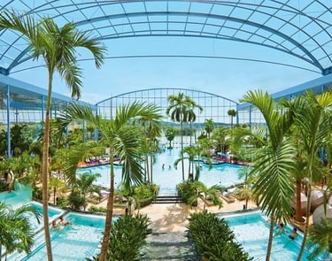Palmenparadies in der Badewelt Sinsheim