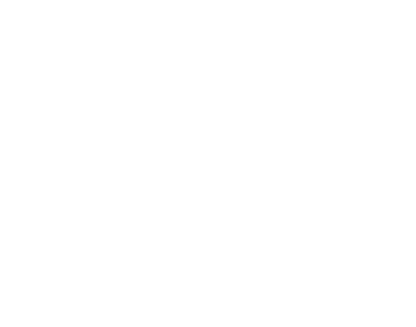 Logo of Linguages - Expert Language Services, the company name in white on elegant green background