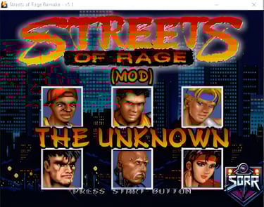 a streets of rage game with the title streets of rage: the unknown