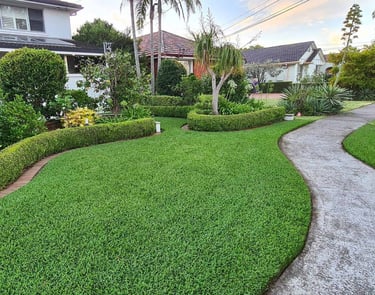Beautifully installed Buffalo Grass lawn at a residential home in Whitefield, Bangalore