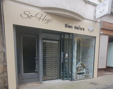 11 rue martin bernard, 42600 MONTBRISON