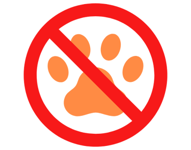 Facilidades pensadas para seu conforto na Enseada