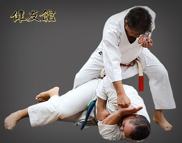 Kenyukan karate practical self-defence skills