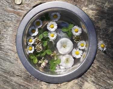 Blumen Dekoration im Garten