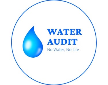 Water Audit