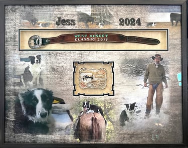 Framed shadowbox display featuring a champion dog belt, buckle, and Border Collie photo collage.