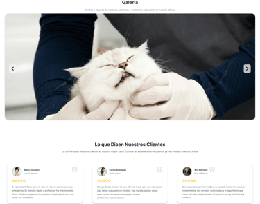 Rediseño de galeria UX/UI y desarollo No- Code clinica veterinara
