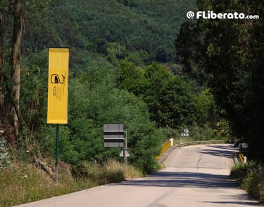 N2 pendão Rota N2 Estrada Nacional