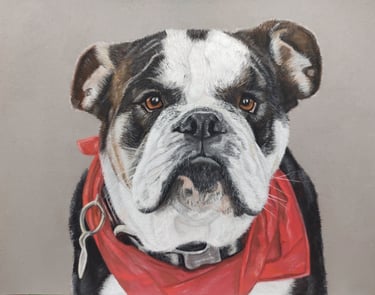 Pastel pet portrait, bulldog portrait