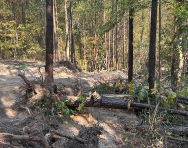 land clearing area