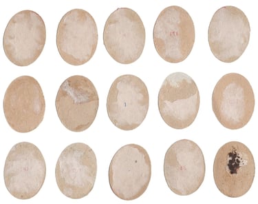 Rare Argentina Fulbito Crack Cromo