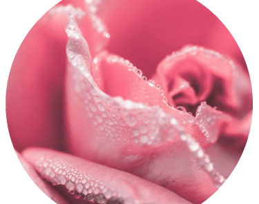 floralfragrancesatfloraandfaunabyasmara