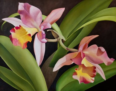 Pink and Green Cattleya