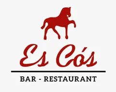 a horse is shown in this image