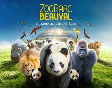 zoo de beauval