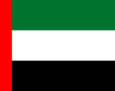 Dubai flag