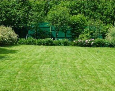 A well-maintained Bermuda Grass lawn home