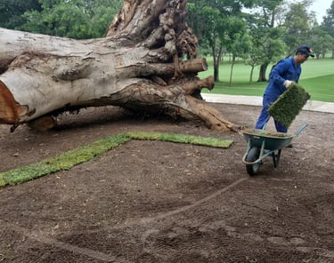 regularização ambiental