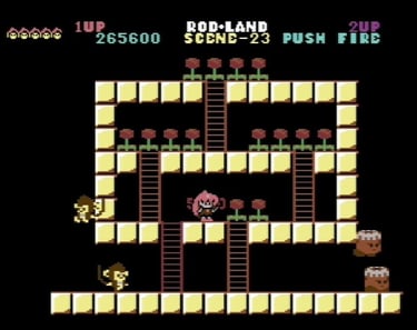 Commodore 64 Rodland Rit