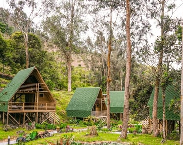 Cabañas,hotel ecológico, Colombia, cordillera de los andes