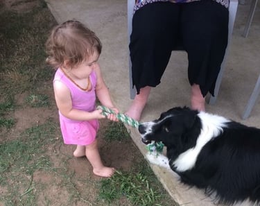 Children Playing with Dog 