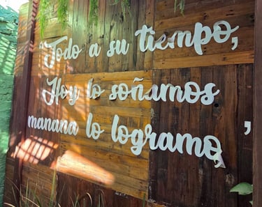 Frase inspiradora en español sobre una pared rústica de madera con plantas colgantes y luz natural.